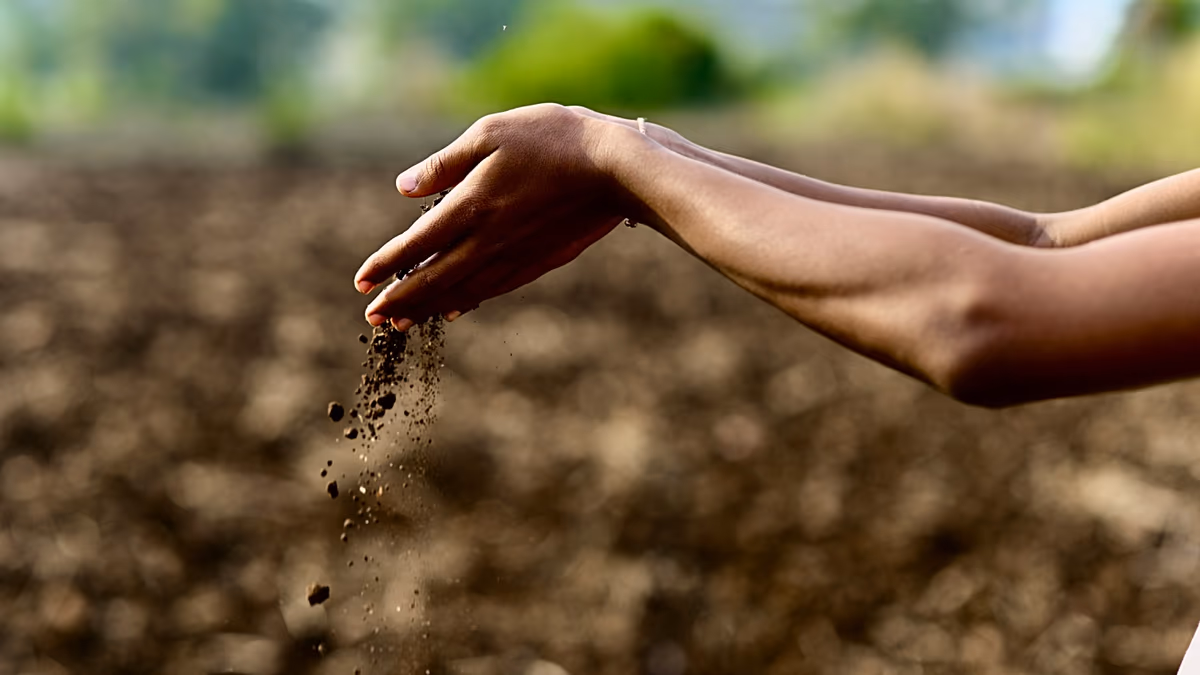 The secret to tackling the climate crisis could be right under our feet. Here’s why