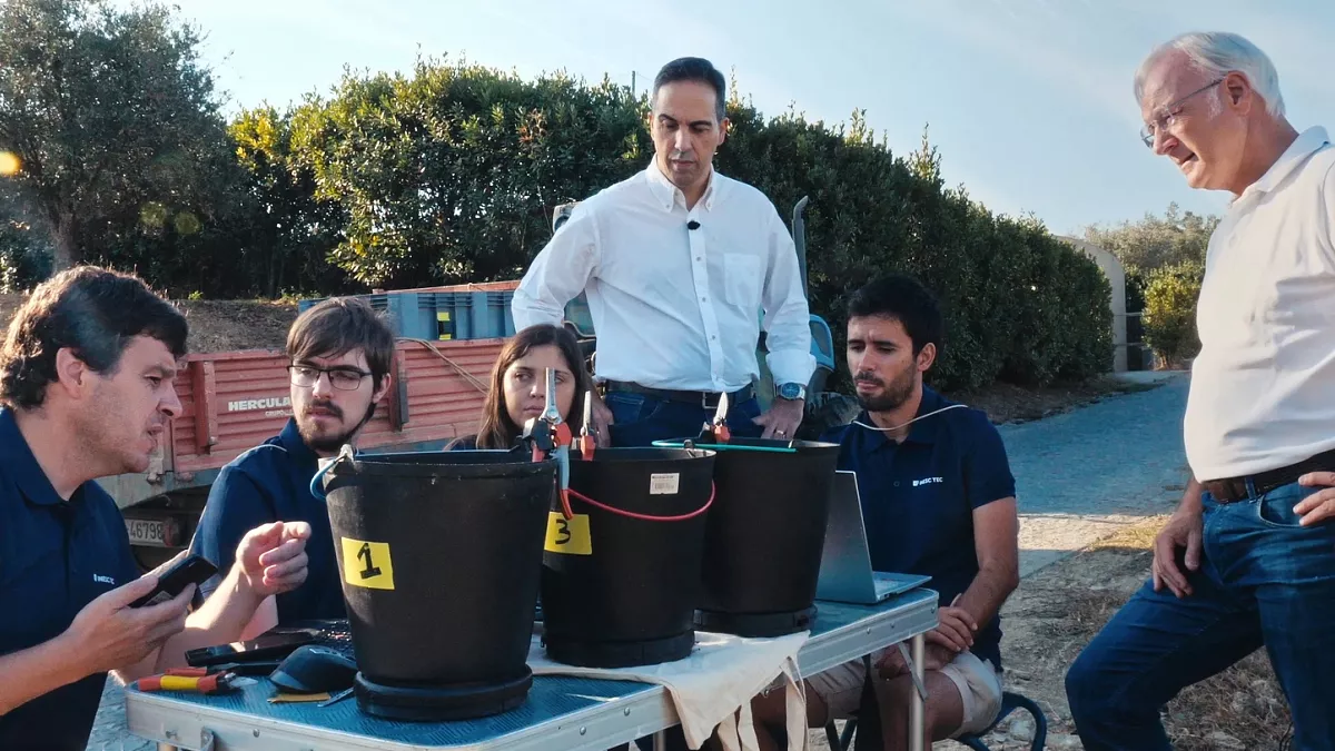 Which grapes went into which bottle? The Food Detectives bring perfect clarity to Douro wine