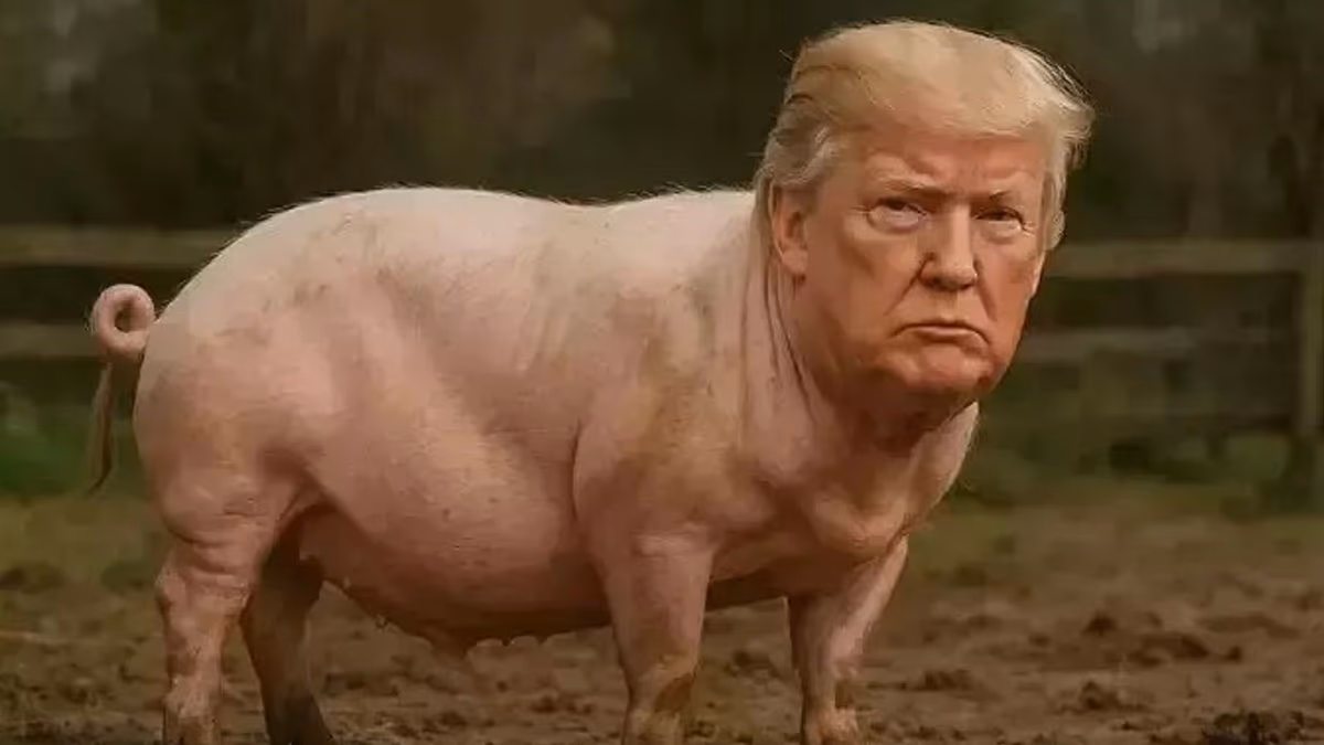 ‘Quiet, piggy’: Donald Trump’s sexist outburst at female journalist goes viral