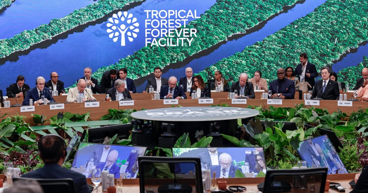Diplomats scramble to save UK role in COP30 rainforest fund – POLITICO