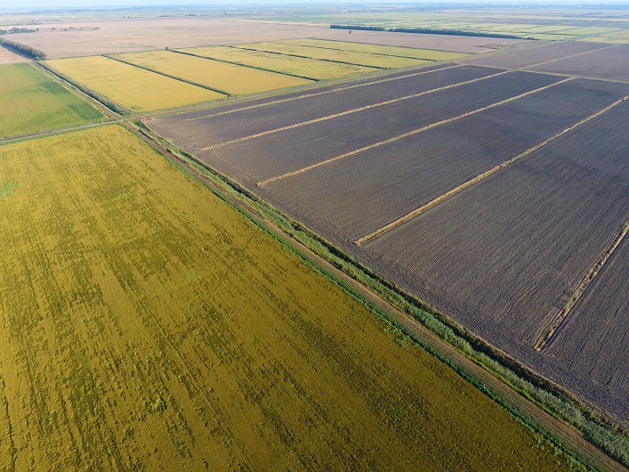 A 2,800-hectare agricultural land bank and a profitable ski resort are currently available for purchase in Western Ukraine.