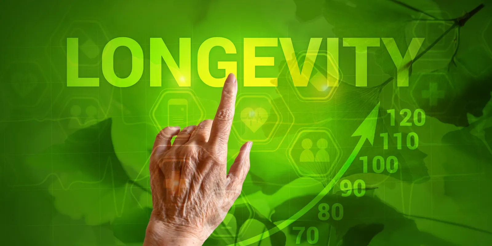 Three Low-Cost Methods To Improve Cognitive Function And Longevity