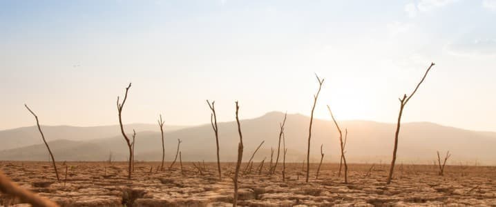 Iran’s Water Crisis Is a Worrying Sign of Things to Come