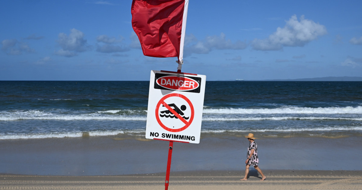 Swiss tourist killed in shark attack off Australia’s east coast