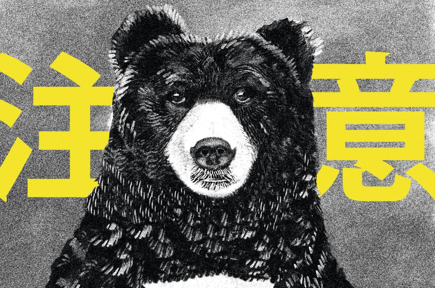 Japan’s bears have been on their killing spree for more than 100 years
