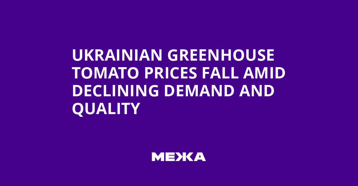 Ukrainian Greenhouse Tomato Prices Fall Amid Declining Demand and Quality | Ukraine news