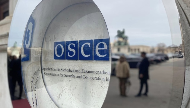 OSCE Parliamentary Assembly to join International Coalition for Return of Ukrainian Children