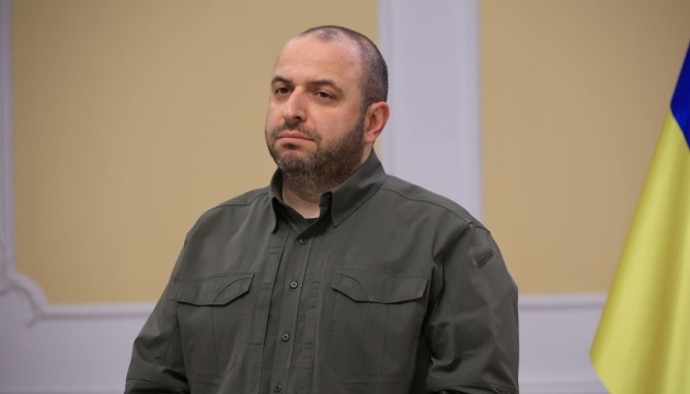 Umerov discusses financing of Deep Strike program with Kubilius