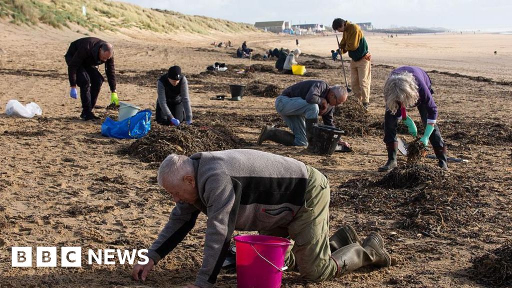 Southern Water sorry after pellets pollute Camber Sands beach