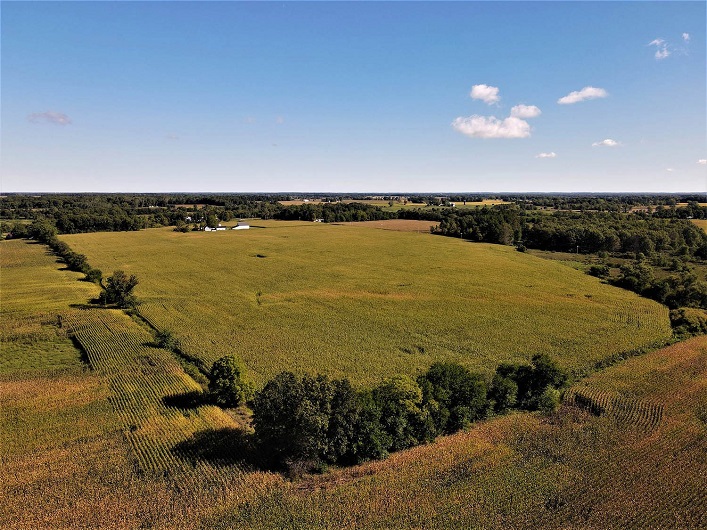 Profits from Land Bank auctions exceeded ₴1B in its first year.