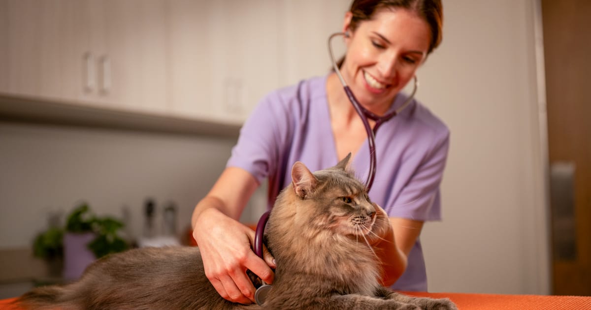 Animal health innovation: Advancing life sciences in Europe