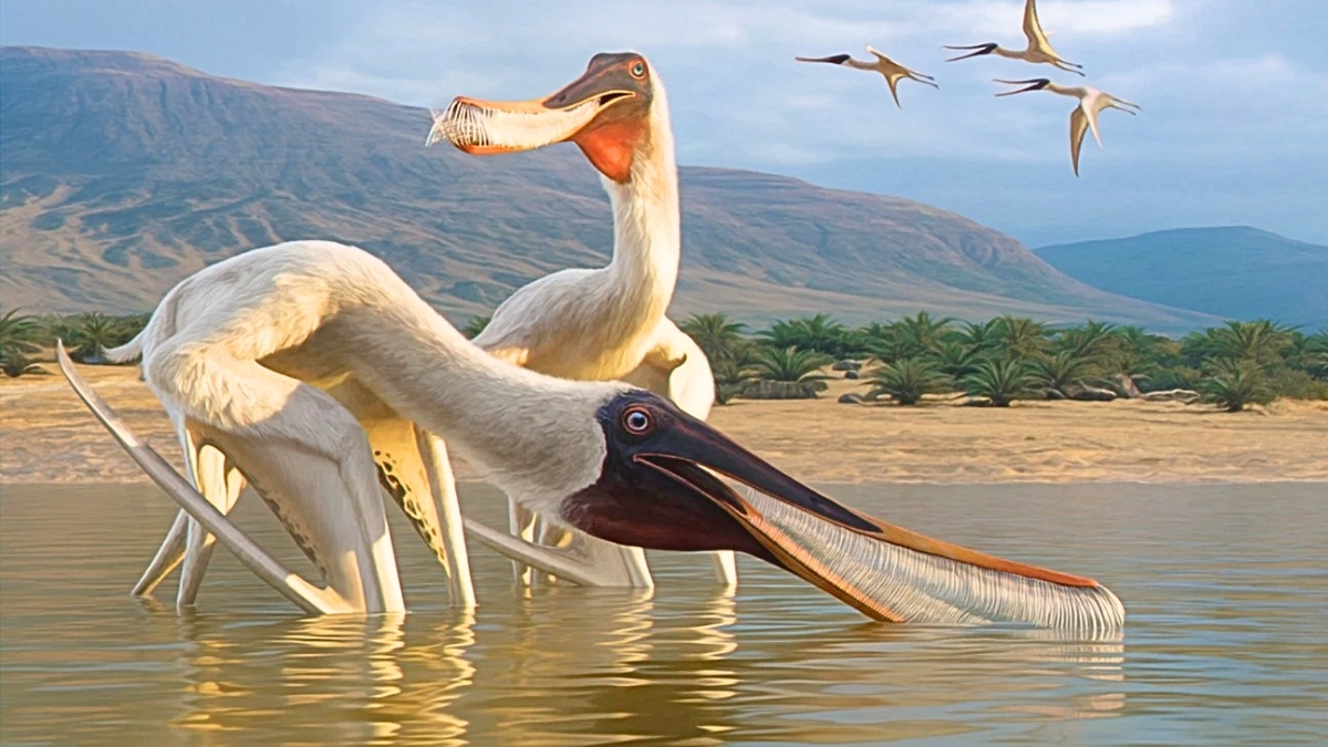 Bizarre New Species of Flying Reptile Discovered in Fossilized Dinosaur Vomit : ScienceAlert