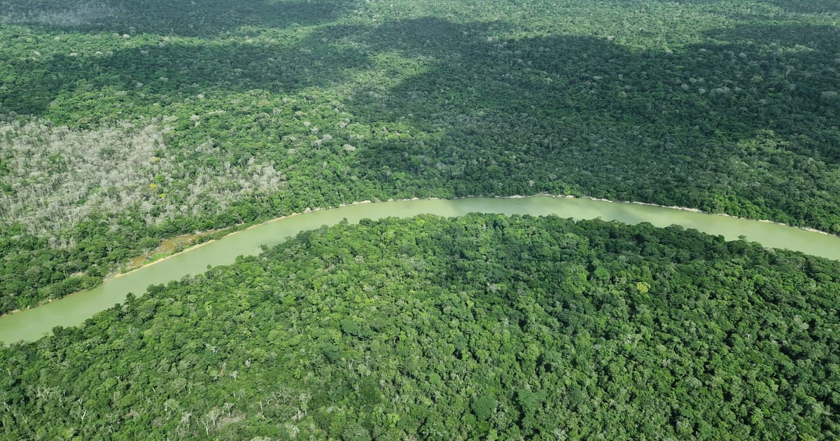 Brazilian lawmakers seek to decimate green laws one week after hosting climate summit – POLITICO