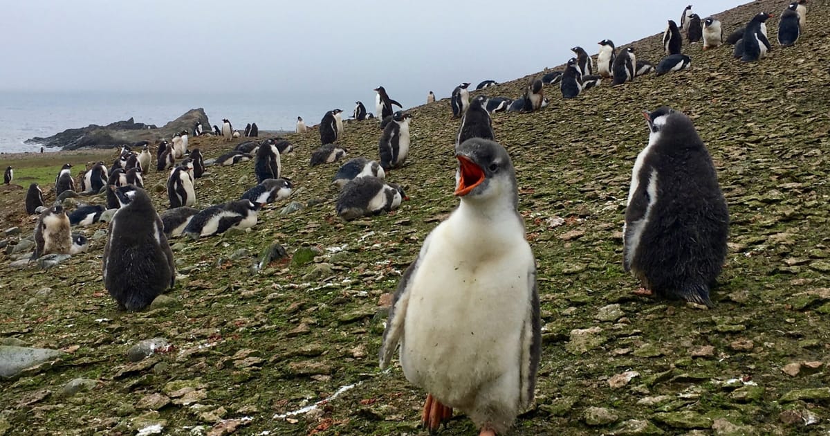 Les objectifs de l’accord de Paris sur le climat sont loin d’être atteints, alerte l’ONU – POLITICO