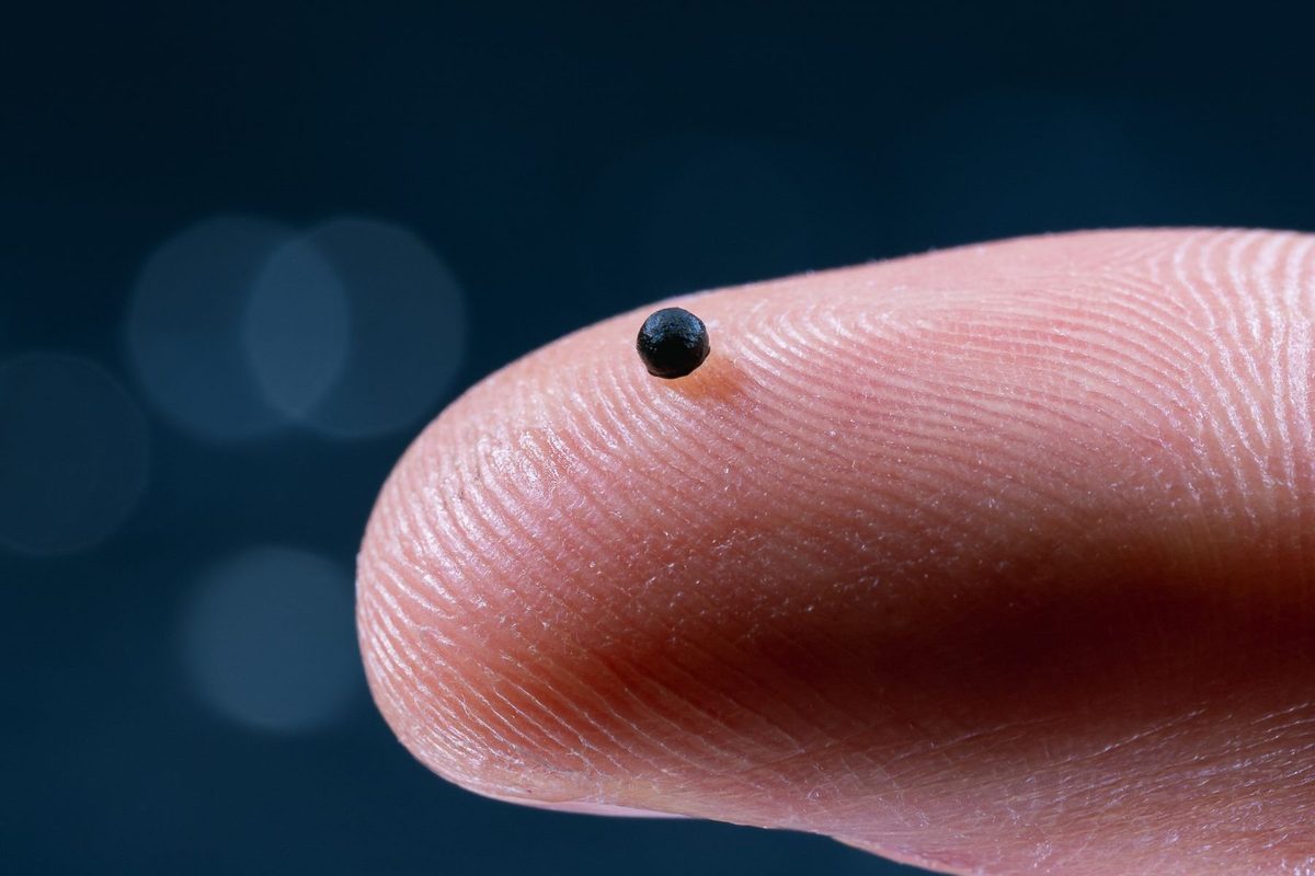 This magnet-powered micro-robot could soon swim through your bloodstream