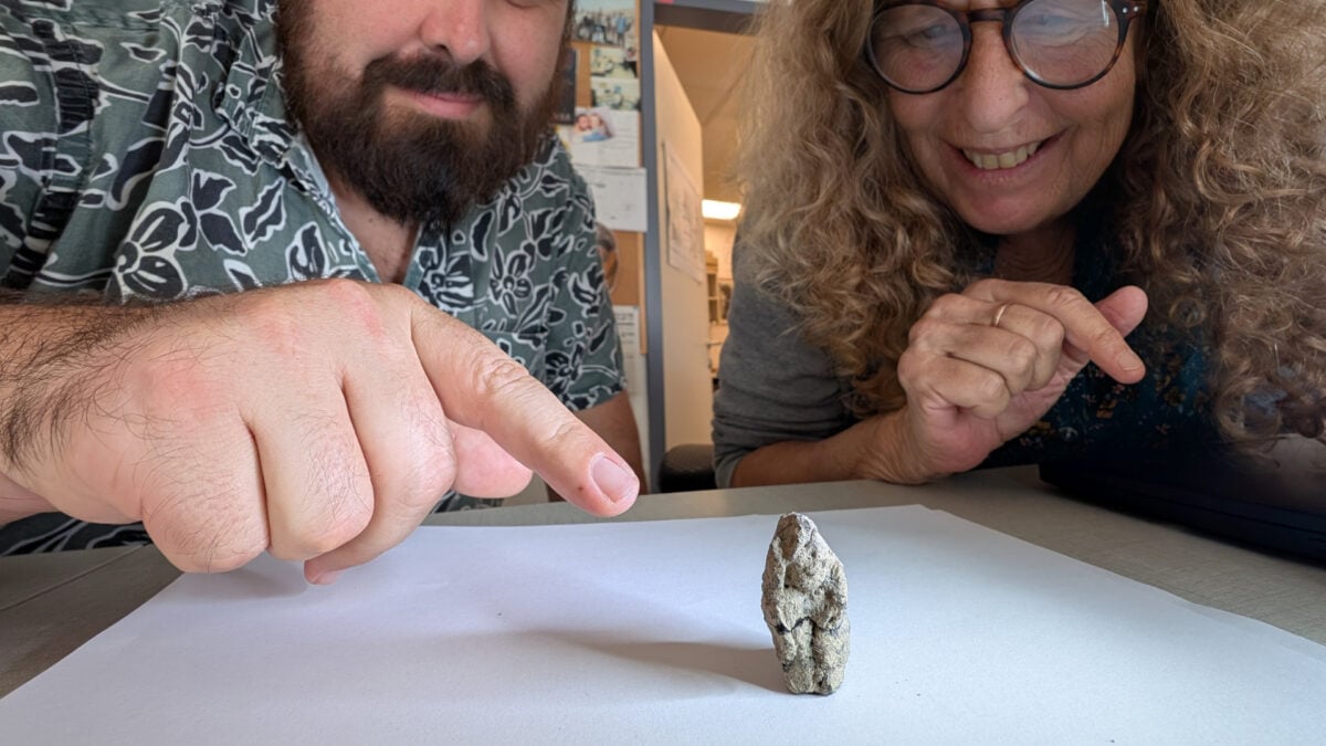 12,000-Year-Old Artifact Depicts a Goose Having Sex With a Woman