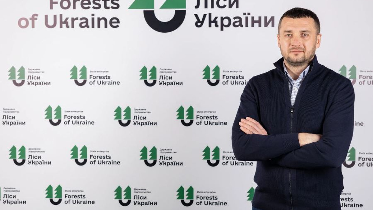 Forestry enterprise Forests of Ukraine sells 100% of timber offered at forward auctions for H1 2026