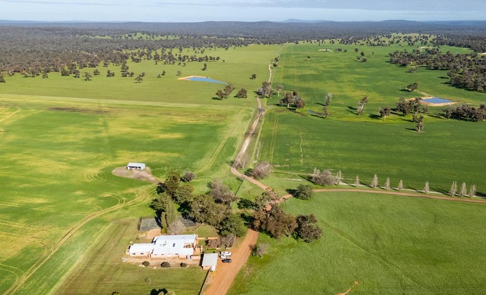 A building materials manufacturing enterprise is being offered for sale, and an agricultural business featuring 1,300 hectares is also available.