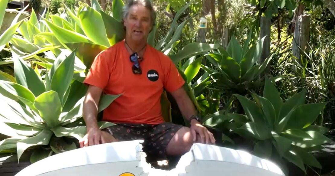 Australian windsurfer says shark “hit me like a freight train,” but he can’t wait to get back in the water