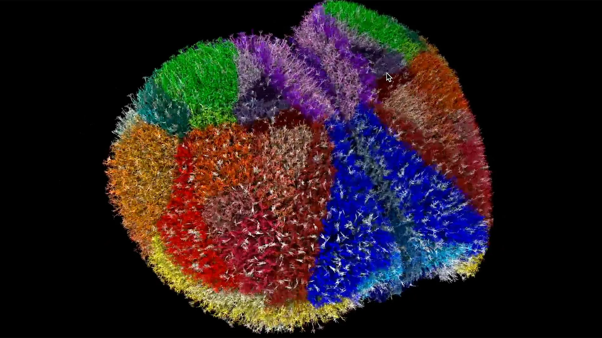 Supercomputer creates the most realistic virtual brain ever