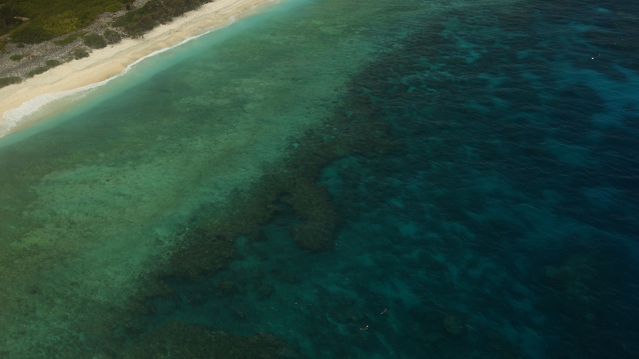 Cruise canceled after passenger left behind on island dies