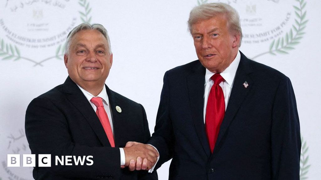 Viktor Orban’s dilemma – Russian oil or Trump’s favour