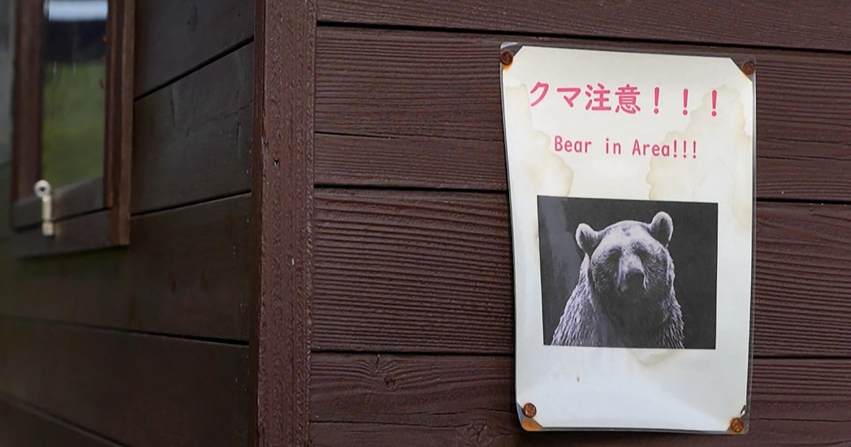 U.S. issues unusual warning to Americans in Japan: Beware of bear attacks