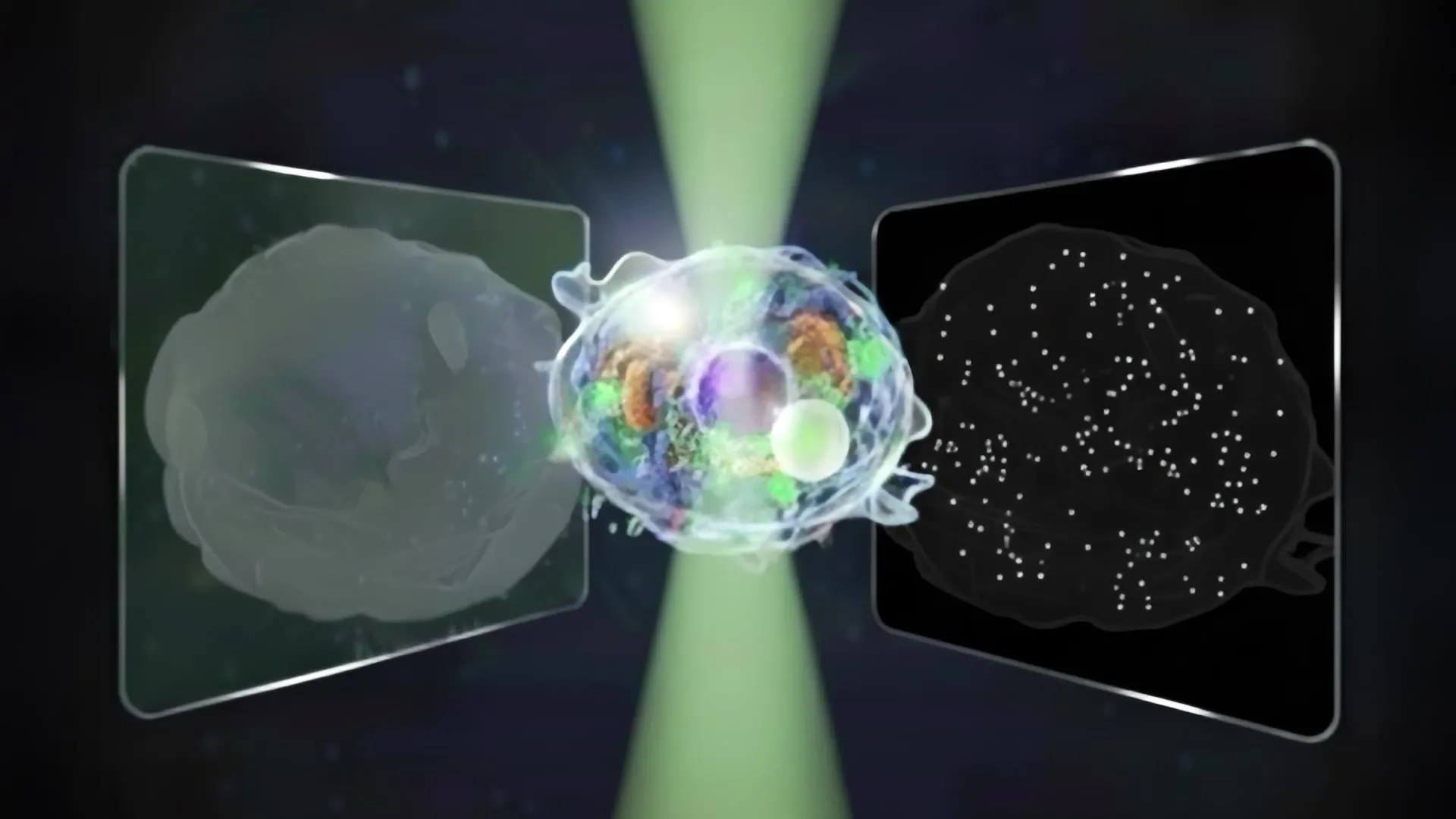 “Great Unified Microscope” reveals micro and nano worlds in a single view