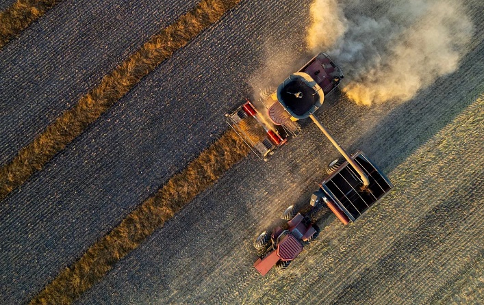 The Ministry of Economy has released estimates for this year’s harvest.