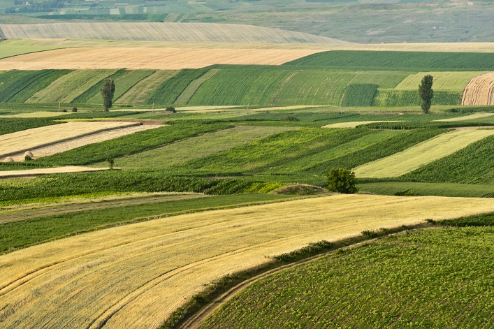 Agricultural land prices in Ukraine have demonstrated a consistent upward trend.