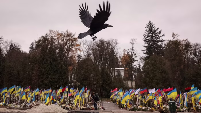 War-linked assets rally on US push for peace in Ukraine