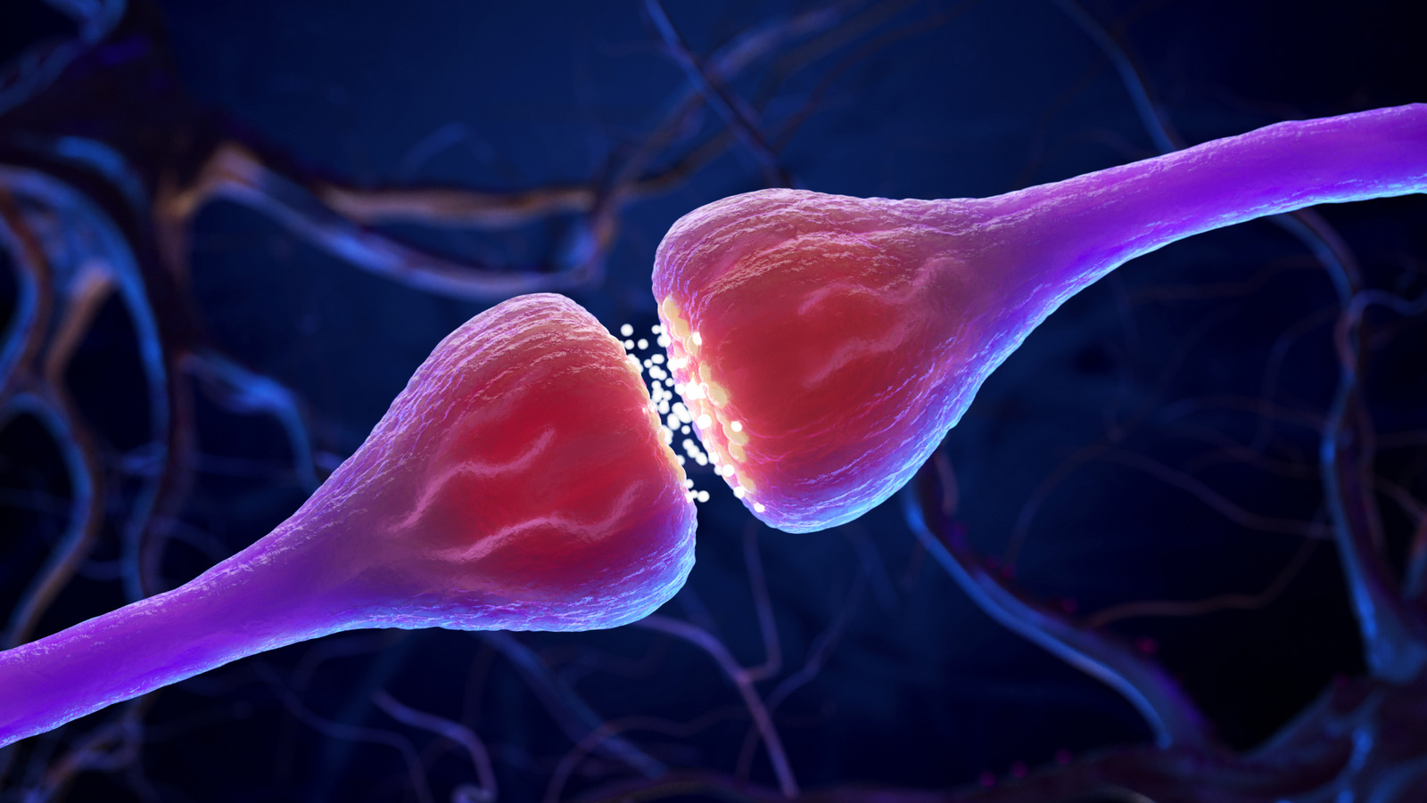 Scientists Have Discovered The Neuron Connection That Might Spread Alzheimer’s Disease