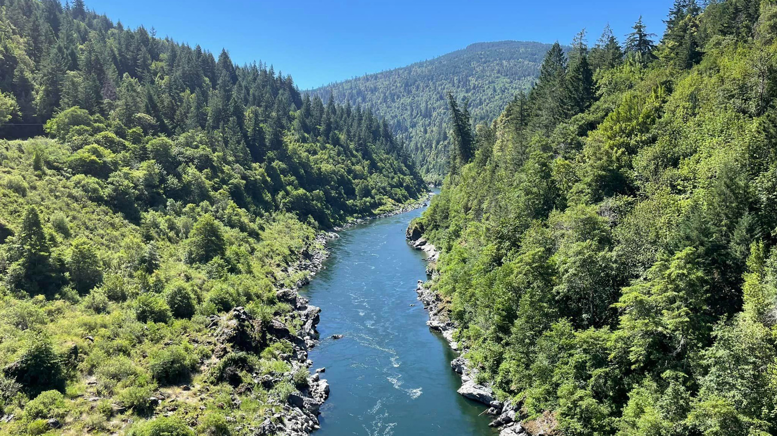 One Year After The Klamath Dam Project, Scientists Are Thrilled By Nature’s Comeback