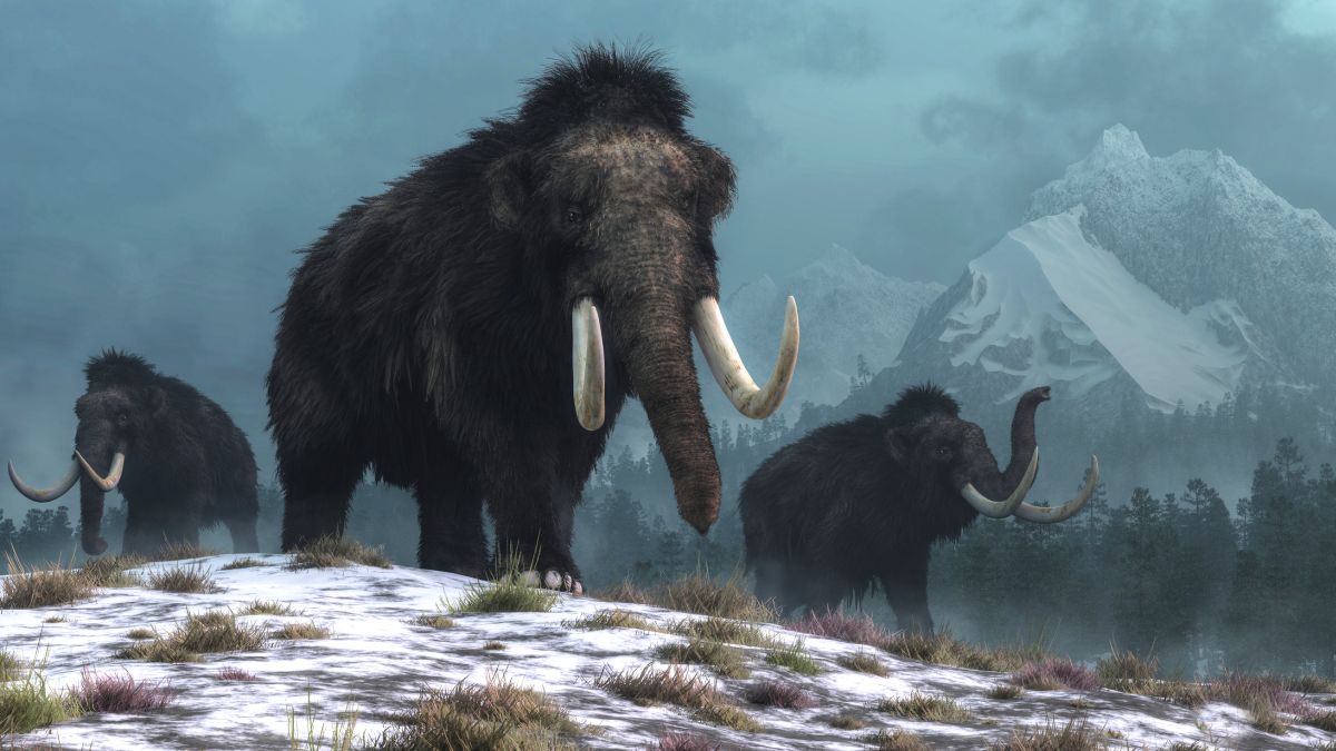 Yuka The Woolly Mammoth Just Gave Us The Oldest RNA Ever Sequenced : ScienceAlert