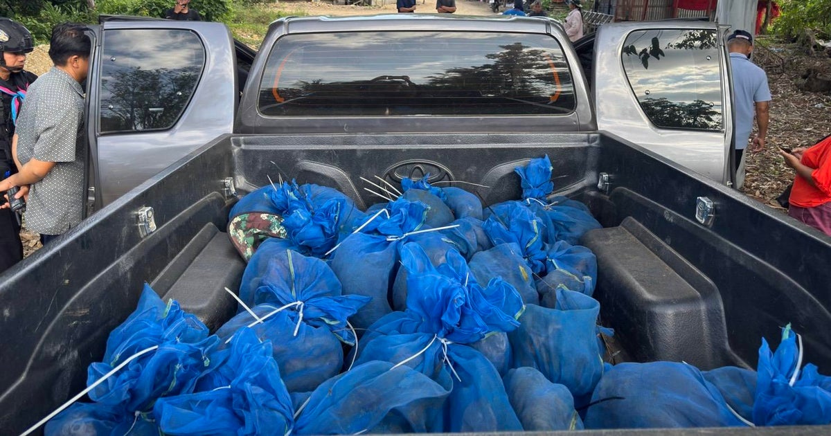 81 monkeys and meth found in car driven by suspected wildlife smugglers, rangers in Thailand say