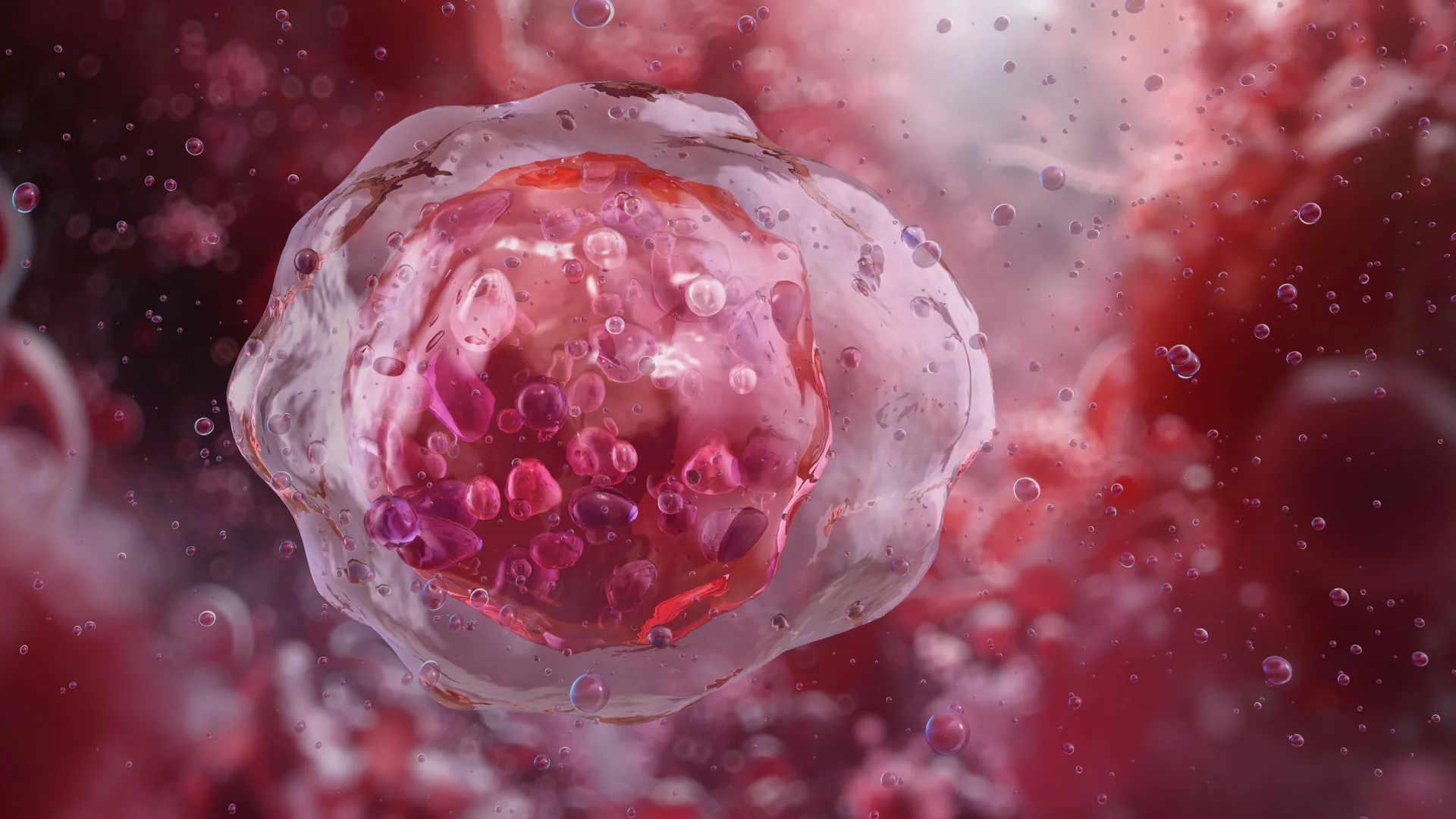 Triple therapy sparks a powerful immune attack on leukemia