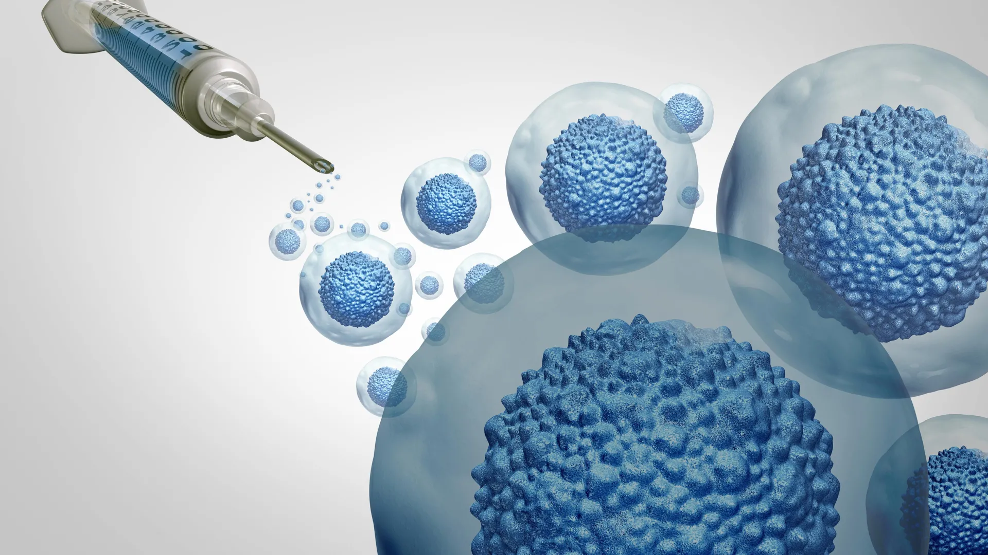 Stanford makes stem cell transplants safer without chemo