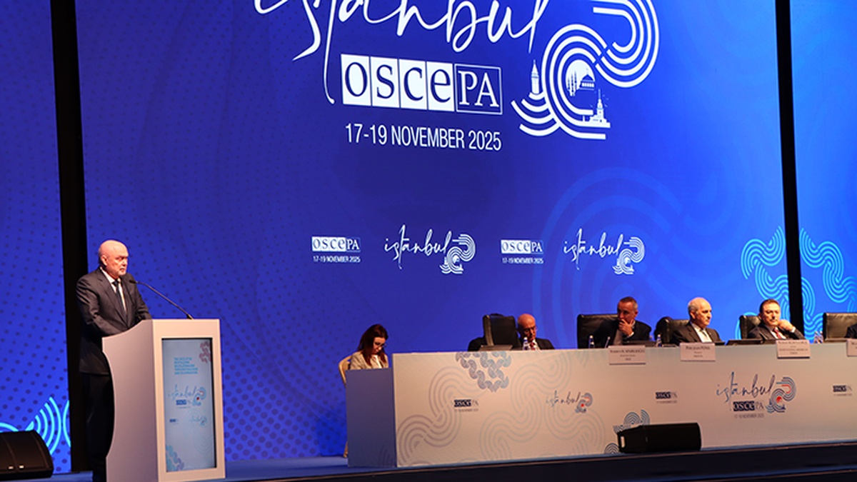 OSCE PA joins Intl Coalition for Return of Ukrainian Children