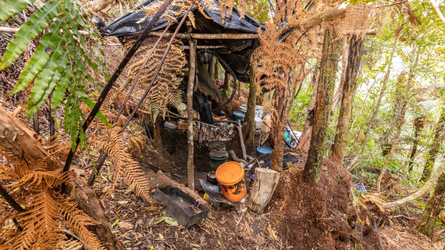 New Zealand announces inquiry in case of father’s disappearance with his children