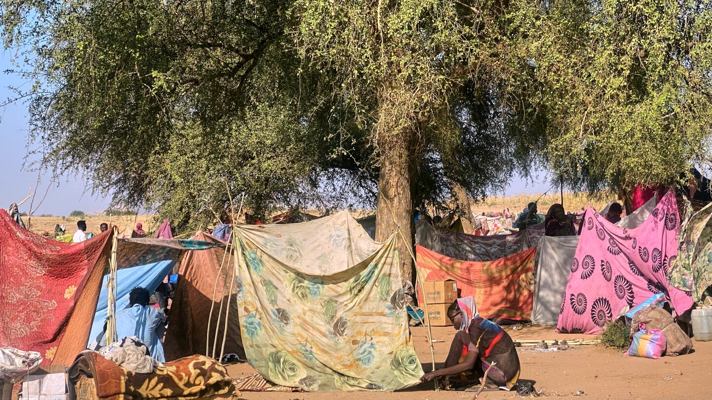 UN migration agency warns of humanitarian collapse in North Darfur