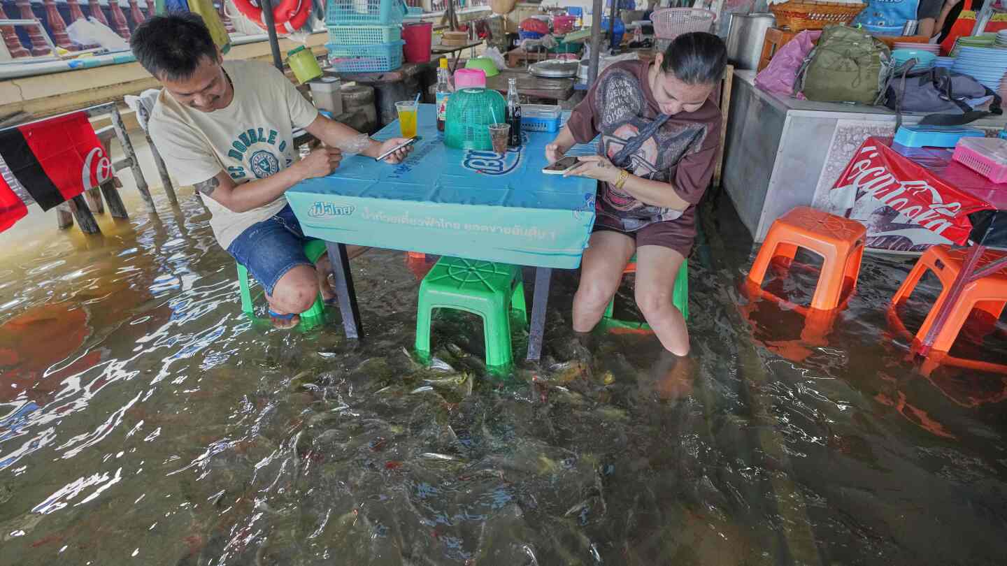 A flooded restaurant in Thailand allows diner to mingle with live fish