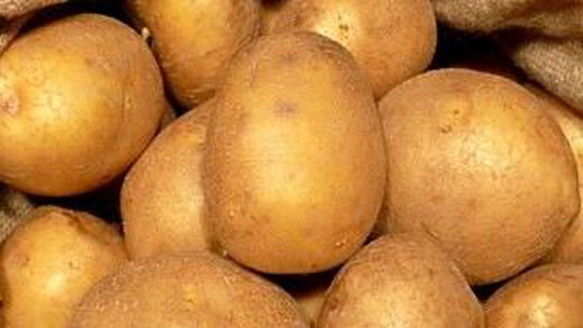 Ukraine imports 5.1 times more potatoes in 10M