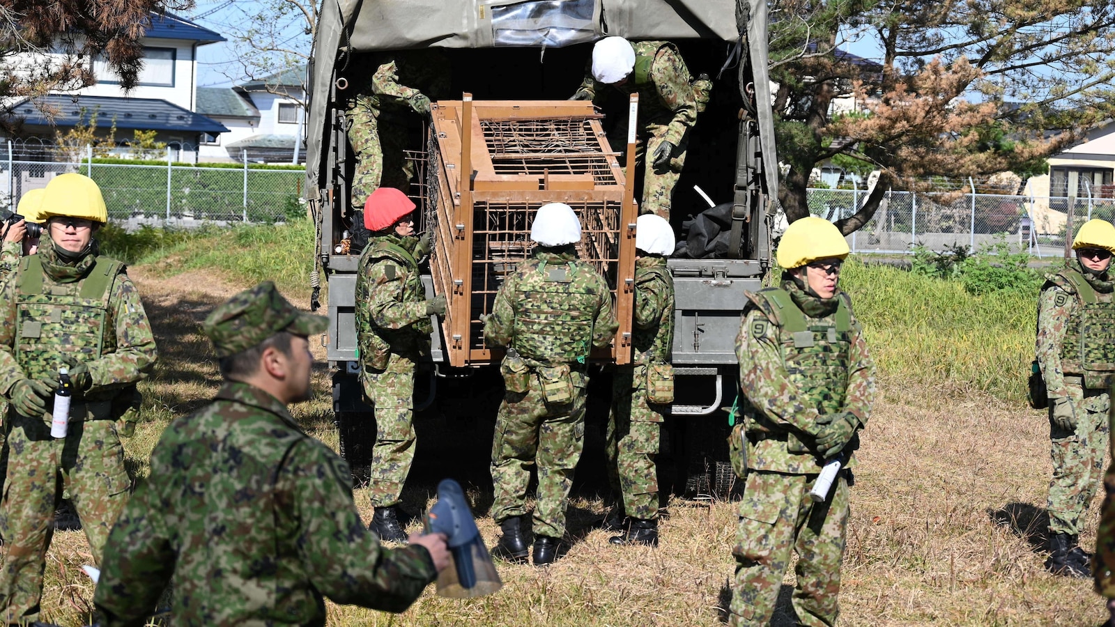 Japan sends troops to northern region to stop bear attacks after record casualties