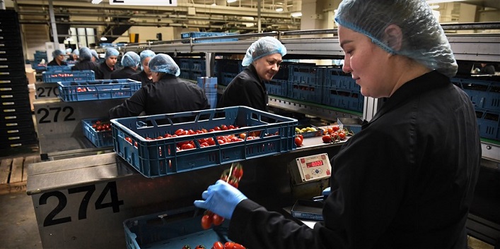 In Germany, the employment rate among Ukrainian refugees has risen by over 200% over the last three years.