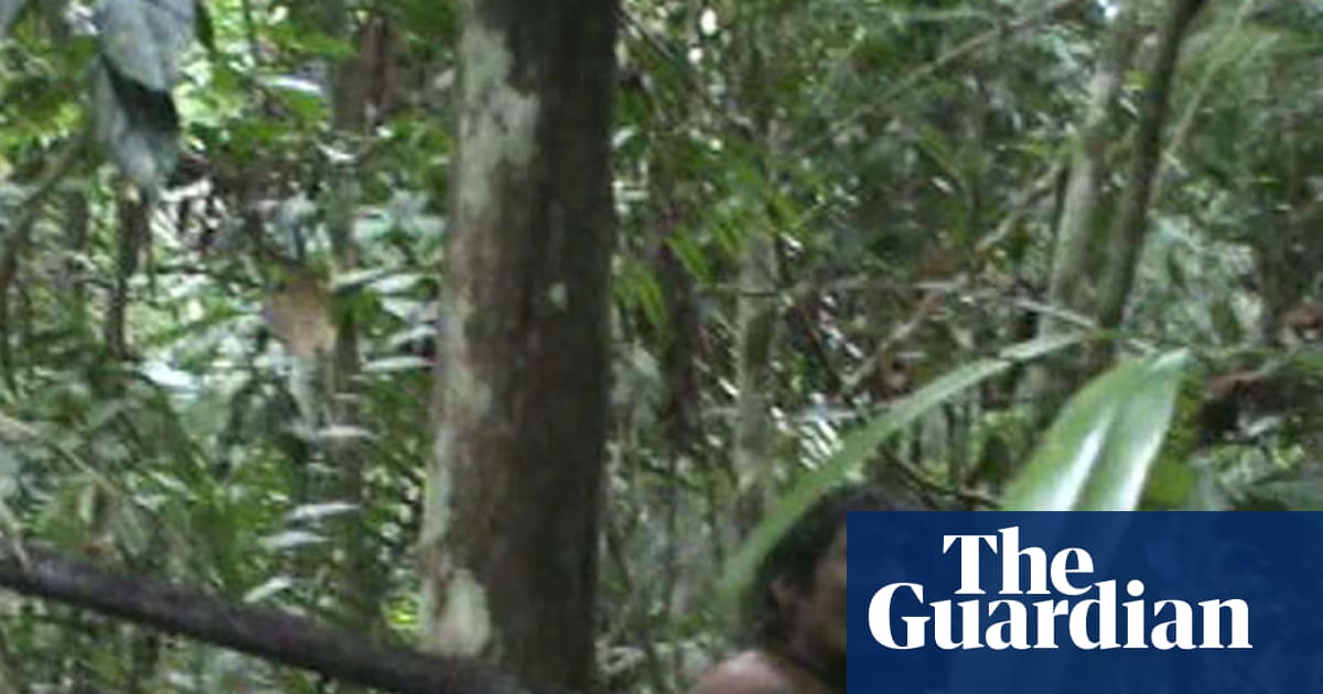 The loggers and ranchers are closing in but still Brazil’s Kawahiva people wait for protection | Global development