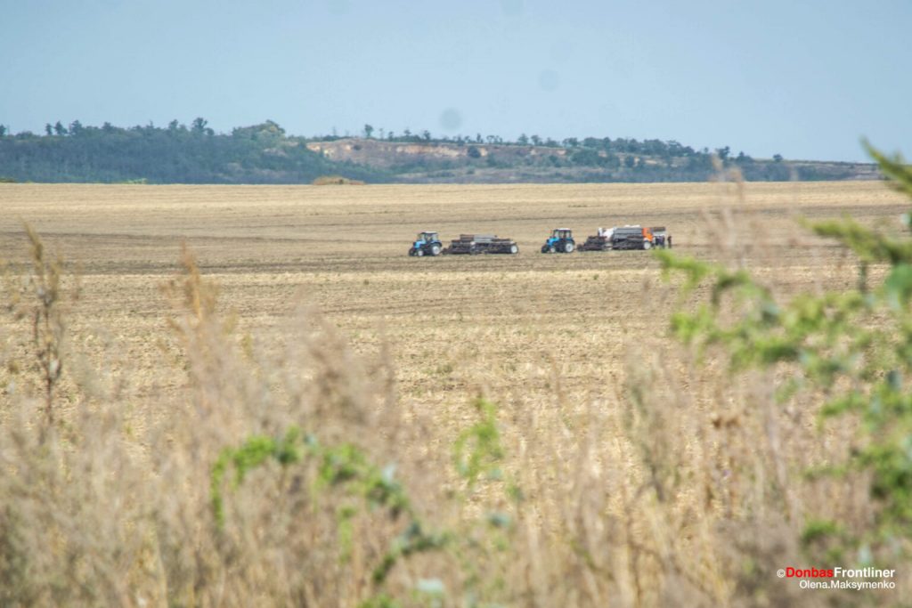Ukraine harvests 60 million tons of grain but lags behind France and Germany in yield efficiency