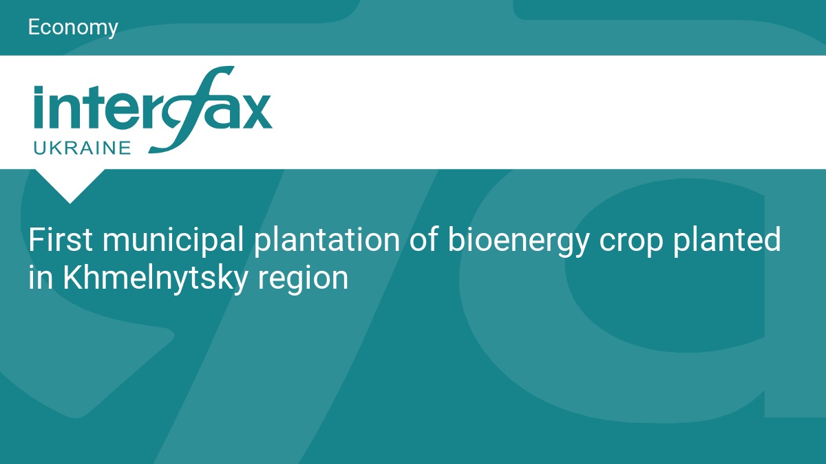 First municipal plantation of bioenergy crop planted in Khmelnytsky region