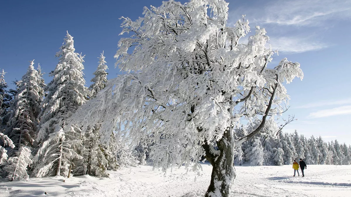 Is the winter of the century coming? Experts see chance of Arctic cold spells