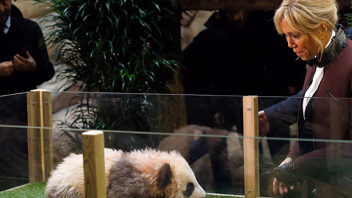 Video. France’s First Lady visits panda breeding research center in China
