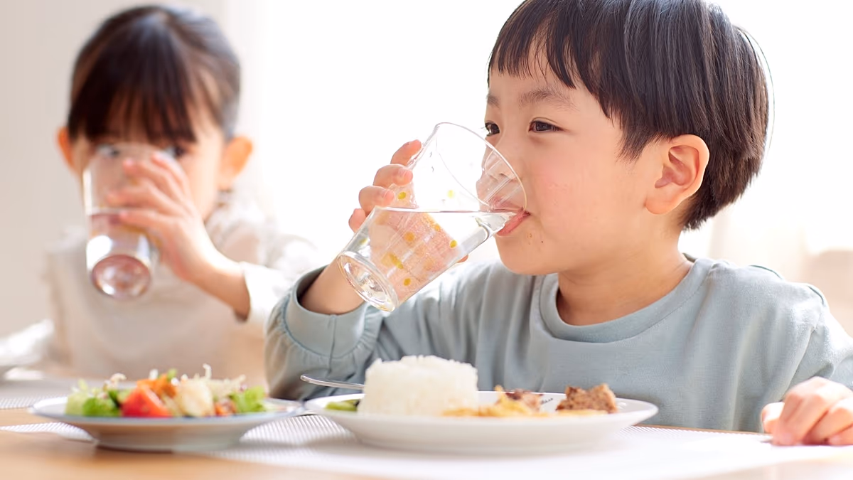 New study says universal school meals could cut hunger and halve diet-related emissions